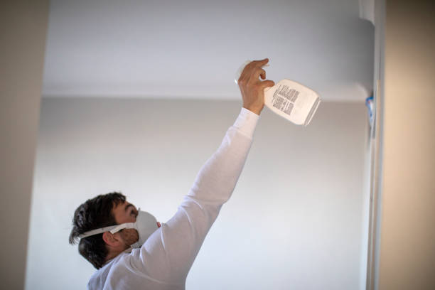 Best Mold Damage Repair  in La Vista, NE