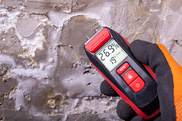Water Damage Restoration in La Vista, NE